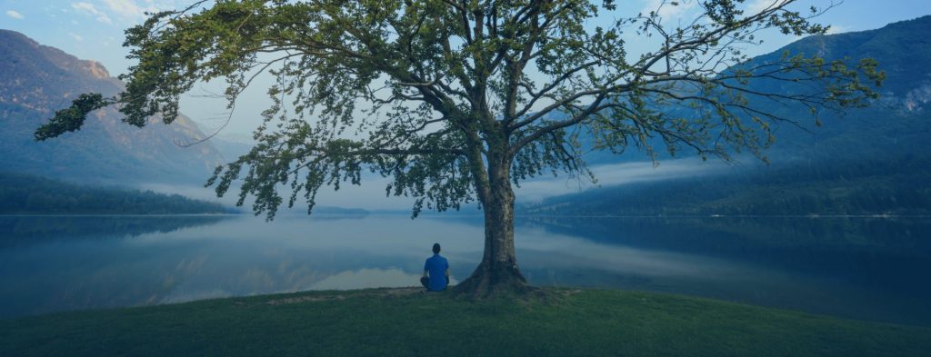 Observing the lake underneath a tree