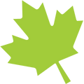 Maple leaf icon.