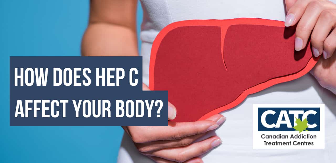 how does hep c affect your body hero image